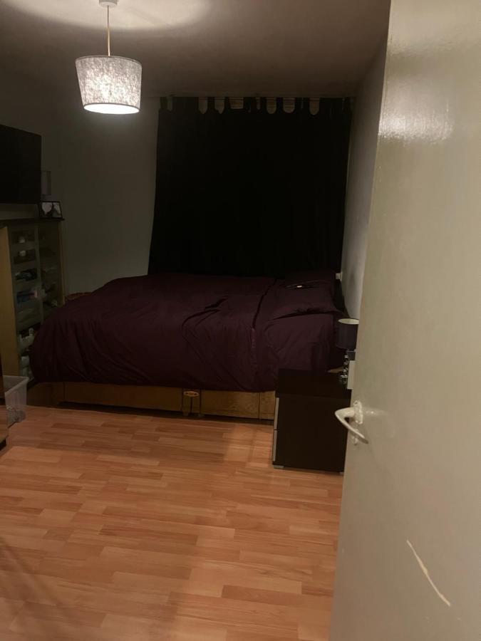 1 Bedroom Garden Flat Zone 2 Appartamento *